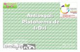 Antioxgal: Plataforma de I+D+i - AltaVoz S. A.ucv.altavoz.net/prontus_unidacad/site/artic/20101019/... · 2010-10-22 · Extracción con disolventes convencionales (agua, alcoholes,
