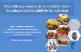Probióticos y mejora de la nutrición como estrategias para ... La Estanzuela... · Probióticos y mejora de la nutrición como estrategias para la salud de las colmenas Dra. Karina