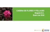 CADENA DE FLORES Y FOLLAJES Bogotá D.C. Enero de 2018 · • Temas fitosanitarios: En coordinación con el ICA, por un lado se ha venido trabajando en mecanismos y protocolos de