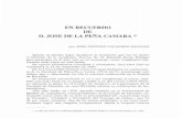 EN RECUERDO DE D. JOSE DE LA PEÑA CAMARAinstitucional.us.es/revistas/rasbl/23/art_11.pdflos fondos documentales del Ayuntamiento de Mairena del Alcor (1949). También, e impulsado