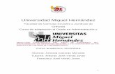 Universidad Miguel Hernándezdspace.umh.es/bitstream/11000/2754/1/TFG Caicedo Morante, Anto… · Además, la dirección estratégica es aquella parte de la dirección empresarial