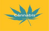 Cánnabis - pnsd.mscbs.gob.es · marihuana para su propio uso o para la venta, ali-menta un creciente negocio de semillas, abonos y utensilios que se venden en tiendas específicas.