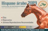Catálogo de Reproductores Hispano-Árabes 2019 · La distribución de las observaciones por sexo fue de 590 machos y 869 hembras. Para evaluar la armonía general y sus aires han