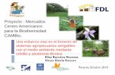 Proyecto : Mercados Centro Americanos para la Biodiversidad de agroforesteria... · 2010-12-21 · puente natural de muchas aves migratorias. Los sistemas extensivos representan uno