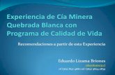 eduardo@ecp - Isapre CruzBlanca · 2016-12-12 · Recomendaciones a partir de esta Experiencia Eduardo Lizama Briones eduardo@ecp.cl of (562) 897.4680 cel (569) 9824.0839