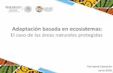 Adaptación basada en ecosistemas - gob.mx · Adaptación basada en Ecosistemas La utilización de la biodiversidad y de los servicios ecosistémicos como parte de una estrategia
