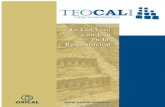 manual con teocali con teocali.pdf · los inmuebles de carácter histórico y arqueológico, donde es utilizado en la elaboración de morteros de asiento, inyección de grietas y