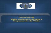 Protocolo 08 Visita Judicial Ordinaria y Preparación de Visitaocma.pj.gob.pe/contenido/documentos/protocolos/Protocolo_8.pdf · estadística, en los Formatos que para el efecto se