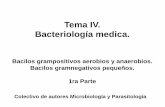 Tema IV. Bacteriología medica. - Infomeduvsfajardo.sld.cu/.../v_bacilos_gram_negativos_pequenos_-_1ra_parte… · Bacilos grampositivos aerobios y anaerobios. ... Se agrupan en: