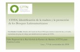 4.1 Vera Rauber Coradin - CITES, identificacion de la ...€¦ · tasy tecnologias para abordar eltrafi coilícito de madera de especiesde árbolesCITES, y la facilitacióndel intercambio