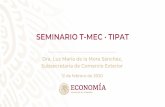 SEMINARIO T-MEC · TIPAT€¦ · SEMINARIO T-MEC · TIPAT Dra. Luz María de la Mora Sánchez, Subsecretaria de Comercio Exterior 12 de febrero de 2020 ¿Cómo aprovechar estos Tratados?