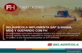 CASO DE ÉXITO - FH...Además de SAP S/4HANA y de GUEPARDO, el proyecto cuenta con una solución de gerenciamiento y gobernanza de datos - SAP MDG (Master Data Governance) y una herramienta