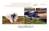 Estudio de Evaluación Conjunta de Impacto Ambiental del ... · evaluación de impacto ambiental, de conformidad con la legislación vigente en la materia”. El Plan de Suelos Contaminados