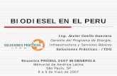 BIODIESEL EN EL PERU - Gob€¦ · BIODIESEL EN EL PERU Ing. Javier Coello Guevara Gerente del Programa de Energía, Infraestructura y Servicios Básicos Soluciones Prácticas --