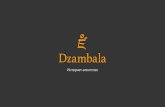 Интернет агентство - Dzambaladzambala.com.ua/presentation.pdf · Google Adwords, Yandex Direct. Наш опыт позволяет воплощать максимальную