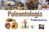 ERAS Y PERIODOSiespoetaclaudio.centros.educa.jcyl.es/sitio/upload/... · 2ª mitad del Paleozoico Mesozoico- Terciario PALEOZOICO. OROGENIAS . BIOLOGÍA DEL PALEOZOICO (-570, -230