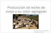 Producción de leche de oveja y su valor agregado · El ovino de leche es un de los sectores de la producción primaria que más han evolucionado en los últimos años, tanto en el