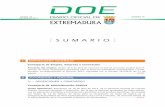 I DISPOSICIONES GENERALES - Diario Oficial de Extremaduradoe.gobex.es/pdfs/doe/2013/790o/790o.pdf · Resolución de 19 de marzo de 2013, de la Gerencia del Área de Salud de Plasencia,