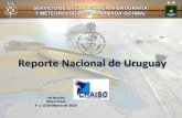Reporte Nacional de Uruguay · ACTIVIDADES OCEANOGRAFICAS 23 • Se participa en el Monitoreo Permanente del Nivel Medio del Mar a través del Programa PSMSL – GLOSS y junto con