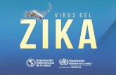 Respuesta continental ante la infección por virus Zika · infección por el virus del Zika; 2016 • Lineamientos preliminares de vigilancia de microcefalia en recién nacidos en