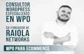 CO-FUNDADOR DE RAIOLA · EN WPO CO-FUNDADOR DE RAIOLA NETWORKS wpo para ecommerce. ... DOS DE LOS PUNTOS ANTERIORES ESTÁN RELACIONADOS CON EL SEO: Una buena experiencia de usuario