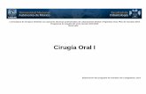 Cirugía Oral I - odonto.unam.mxa Oral I 2019-2020_0.pdf• Elaboración de una infografía a partir de la presentación del profesor. • Lista de cotejo para las infografías. 1.3