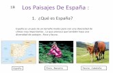 1B Los Paisajes De España...Uno de los grandes problemas de los paisajes de Españoles es la pérdida de biodiversidad o convertir las zonas con numerosas especies : vegetales y animales