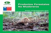 Boletín de PFNM - INFOR · Productos Forestales No Madereros (PFNM) 2 Boletín N° 28|Septiembre 2016 INSTITUTO FORESTAL Cuadro 1 Exportaciones de PFNM (US$ millones FOB) 2015 ENE-JUN
