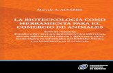 LA BIOTECNOLOGÍA COMO HERRAMIENTA PARA EL COMERCIO … · ÁIvare z, Marcela La biotecnología como herramienta para el comercio de animales: tesis de maestría : estudio sobre necrosis