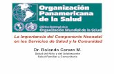 La Importancia del Componente Neonatal en los Servicios de ...respyn2.uanl.mx/especiales/2005/ee-11-2005/documentos/50.pdf · En América Latina y el Caribe las principales causas