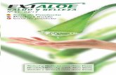 Cuminaloe · 2017-07-10 · 4 Compuesto por: Munactive-10 de 1.000 ml. + Cuminaloe + Jugo de Aloe vera de 1.000 ml. REGALO: Munactive-10 de 250 ml. y caja de presentación. JUGO DE