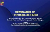 SEMINARIO 42 Tetralogia de Fallot · 2017-04-05 · Tetralogy of Fallot in the fetus: findings at targeted sonography 20 fetos con diagnostico pre-natal de TF Resultados Diagnóstico