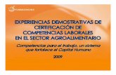 EEXXPPEERRIIEENCNCIIASAS … · 2011-04-27 · v Implementar experiencias pilotos de certificación de competencias laborales en diferentes subsectores del Cluster Alimentario a nivel