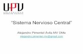 “Sistema Nervioso Central” comunidadanato/DrAPimentel/UPV... · Médula espinal Fuente: Unidad de Anatomía Veterinaria UST. Fuente: Unidad de Anatomía Veterinaria UST. SISTEMA