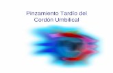 Pinzamiento Tardío del Cordón Umbilical...Pinzamiento tardío del cordón umbilical Questionnaires were given to obstetricians from 43 different units in UK, other EU countries,