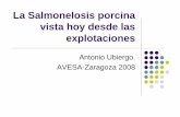 La Salmonelosis porcina vista hoy desde las explotaciones · La mayoría de toxoinfecciones alimentarias son por Salmonella. Los brotes en humanos disminuyen desde 2005 por controles