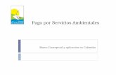 Marco Conceptual y aplicación en Colombiade un sistema de PSA. Proyectos piloto en diseño con apoyo del Ministerio de Ambiente. Aproximadamente 35 proyectos, solo 4 en implementados