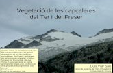 Vegetació de les capçaleres del Ter i del Freserblogs.iec.cat/.../sites/33/2013/10/Vilar_Vegetacio.pdfLes capçaleres del Ter i del Freser són a l’alta muntanya Quan es puja d’altitud,
