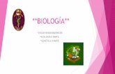 *CICLOS BIOGEOQUÍMICOS *ECOLOGÍA II PARTE. *GENÉTICA II …upiscecyt14.mx/cursons/files/CICLOS-BIOGEOQU-MICOS... · Ciclos biogeoquímicos Deriva del movimiento cíclico de los