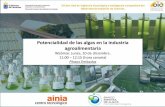 Presentación de PowerPoint · Presentación de la jornada. Alberto Santana. Director General de Plan B Group. Dinamizador de los Grupos Sectoriales de la Industria Agroalimentaria