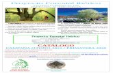 CATÁLOGO - Proyecto Forestal Ibérico · CATÁLOGO CAMPAÑA OTOÑO 2019 / PRIMAVERA 2020 * ÁRBOLES Y ARBUSTOS AUTÓCTONOS IBÉRICOS. * SEMILLAS FORESTALES IBÉRICAS. * PRODUCCIÓN