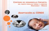 CENTROS DE DESARROLLO INFANTIL - OAS Proyectos Actividad Documento...Durante el período de adaptación el niño puede experimentar cambios psicológicos, fisiológicos y ... EDADES