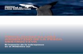 PROTEJAMOS AL MAR ARGENTINO DE LA PESCA DESTRUCTIVA · Únicos y especies emblemÁticas, tales como la ballena franca austral y el elefante marino, de las cuales muchas poseen un