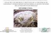 Presentaci.n informe final - Extremaduraextremambiente.juntaex.es/pdf/AtlasAnfibiosyReptiles.pdf- Los anfibios adultos y los reptiles se determinan in situ. Captura con red de larvas