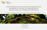 Instrumentos para la producción agropecuaria sostenible y el … · 2018-07-13 · Instrumentos para la producción agropecuaria sostenible y el freno a la deforestación: experiencias