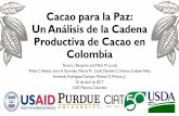 Cacao para la Paz: Un Análisis de la Cadena Productiva de ... · Cacao para la Paz: Un Análisis de la Cadena Productiva de Cacao en Colombia Tamara J. Benjamin and Mark M. Lundy