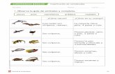 1. Observa la guía de animales y completa.€¦ · Ciencias de la Naturaleza 1/2 Clasificación de vertebrados 1. Observa la guía de animales y completa. ¿Cómo nacen? ¿Cómo