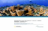 INFORME CIENTÍFICO Informe Cientíﬁcocpps.dyndns.info/cpps-docs-web/planaccion/... · del ecosistema marino del Parque Marino Motu Motiro Hiva (una zona de exclusión de pesca