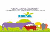 RED BPAredbpa.org.ar/wp-content/uploads/2020/01/EP-BuenasPracticasGanaderas.pdf · Bolsa de Cereales de Córdoba Bolsa de Cereales y Productos de Bahía Blanca Bolsa de Comercio de