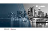 Presentació del PowerPoint...La inversió provinent de Singapur representa el 0,3% del total de la inversió rebuda per Catalunya i el 6,1% del total invertit a l’Estatespanyol